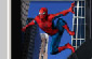 Spiderman Photo Hunt